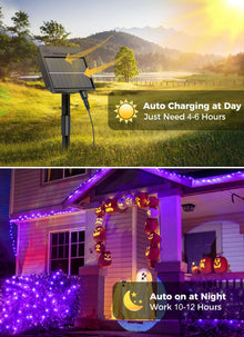 Solar String Lights Outdoor, 2 Pack LED Solar Outdoor Lights | Solar Fairy Lights with 8 Lighting Modes, Waterproof Solar Christmas Halloween  Lights for Outside Tree Garden Balcony Gazebo Party - Purple - Size 105ft 300-LED String Light