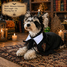 Halloween Pet Costume Dog Wizard Costume Cat Wizard Costume Pet Cosplay Pet - Black-Red - Size S