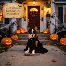 Halloween Pet Costume Dog Wizard Costume Cat Wizard Costume Pet Cosplay Pet - Black-Red - Size S