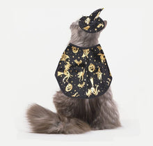 Pet Halloween Costumes Dogs Cats Halloween Witch Pet Costume Cape Hat Halloween Vampire Cloak Wizard Cats Cosplay Clothes Apparel for Small Dogs Cats Halloween Party Decorations - Black - Size L