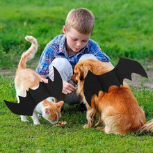 Dog Costume - Dog Halloween Costume With Pumpkin Bell - Clothing For Dogs - Cat Clothing - Funny Dog Suit - Halloween Bat Wings - Halloween Rug For Dog Or Cat - Size M - Animal Clothing - Halloween