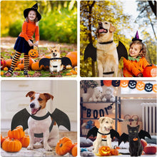 Dog Costume - Dog Halloween Costume With Pumpkin Bell - Clothing For Dogs - Cat Clothing - Funny Dog Suit - Halloween Bat Wings - Halloween Rug For Dog Or Cat - Size M - Animal Clothing - Halloween