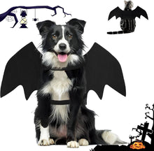 Dog - Cat - Creative Animal Clothing - Dog Costume - Halloween - Christmas - Bat Wings - Cat Clothing - Christmas Clothing - Bat Wings Costume - Black - for Home / Party / Festival / Christmas / Halloween / Christmas