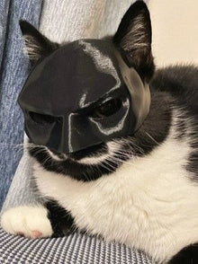 Pet Cat Stylish Face Mask, Cute Party Costume Accessory For Halloween & Christmas, Black