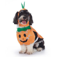 Festive Dress Outfit For Cats and Dogs, Wearable Decor Fit for Halloween Christmas Holiday Party Scenes, Size XL