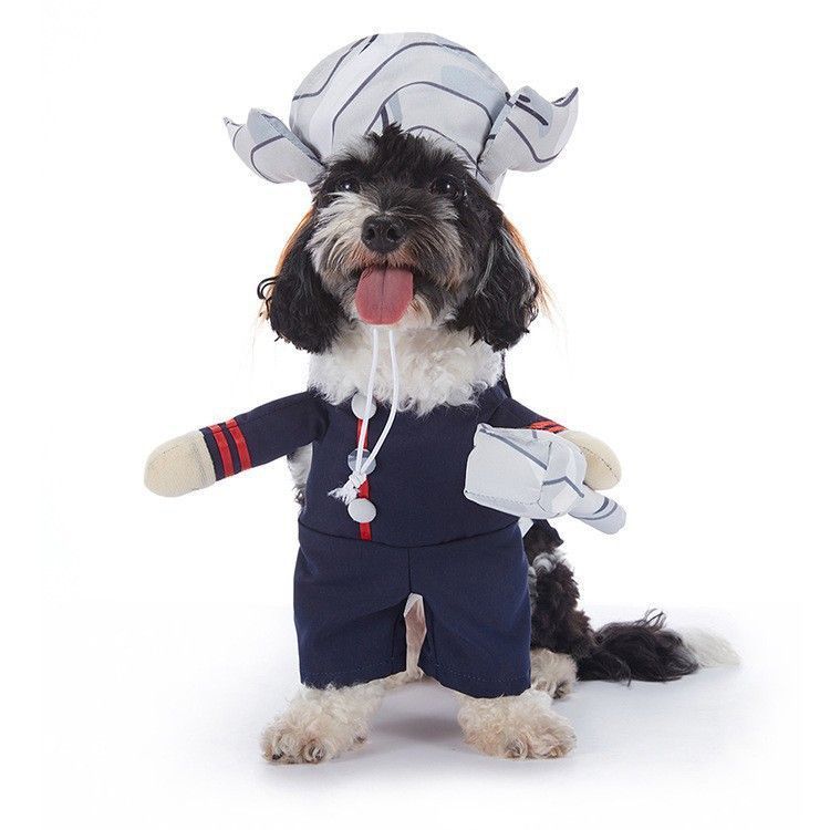 Outdoor Event Apparel For Cats and Dogs, Holiday Decor Wear For Halloween Christmas Festival Gatherings, Size XL