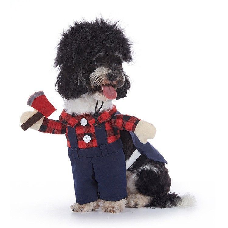 Indoor Party Supplies For Cats and Dogs, Holiday Dress-up Ornament for Halloween Christmas Festivities, Size S