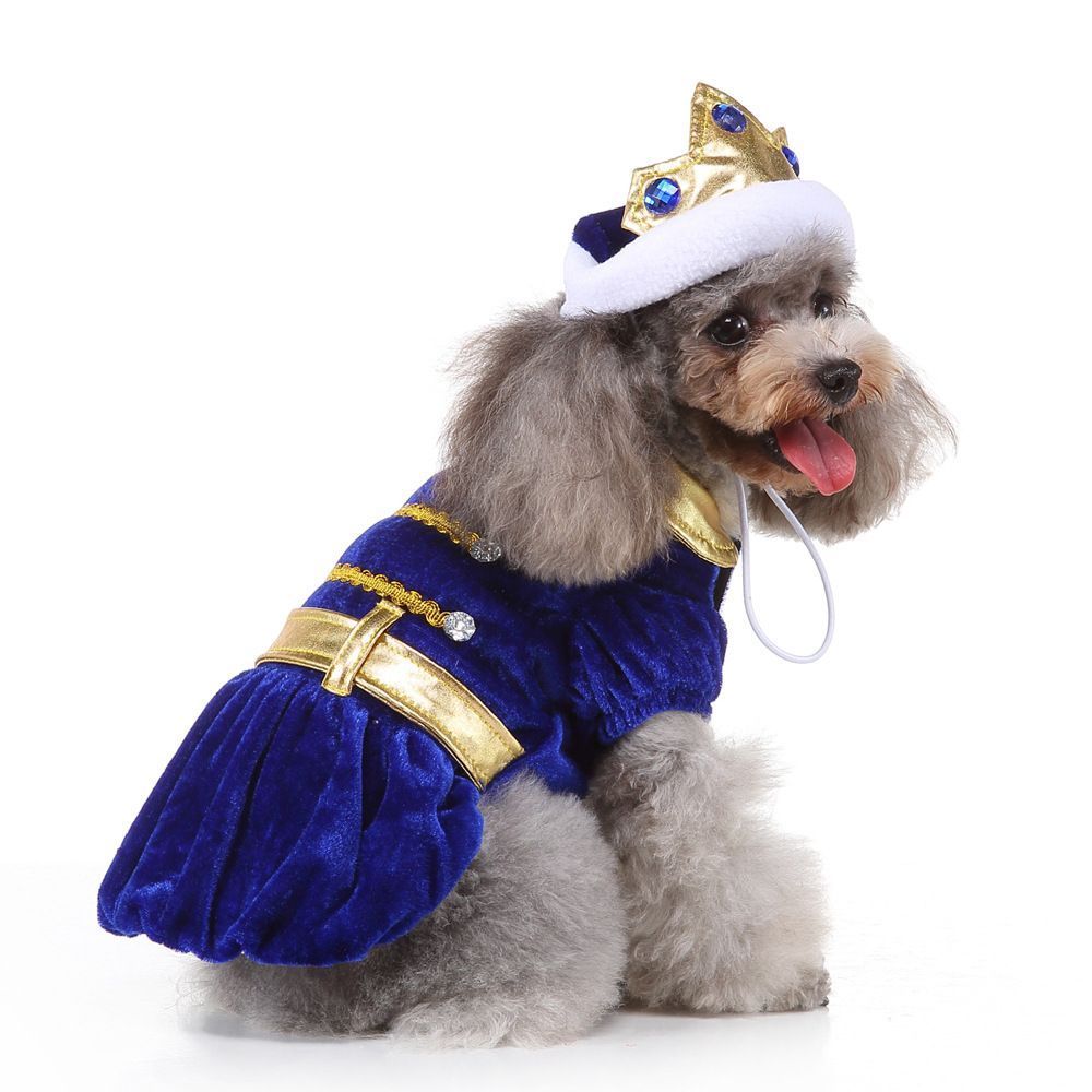S Size Arctic Dream Pet Costume, Fancy Dress for Halloween & Christmas, Lightweight for 2-3 kg Dogs and Cats
