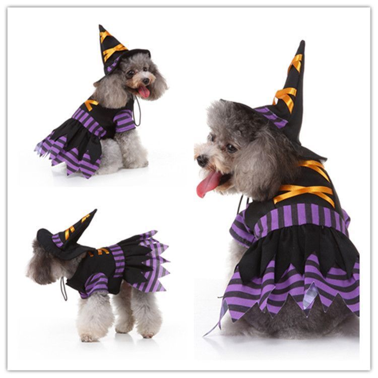 S Size Black Orchid Pet Costume, Fancy Dress for Halloween & Christmas, Lightweight for 2-3 kg Dogs and Cats
