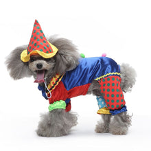 XL Size Jubilee Mix Pet Costume, Fancy Dress for Halloween & Christmas, Lightweight for 7-10 kg Dogs and Cats