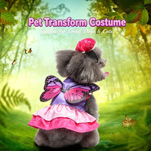 M Size Lava Flow Pet Costume, Fancy Dress for Halloween & Christmas, Lightweight for 3.5-4.5 kg Dogs and Cats