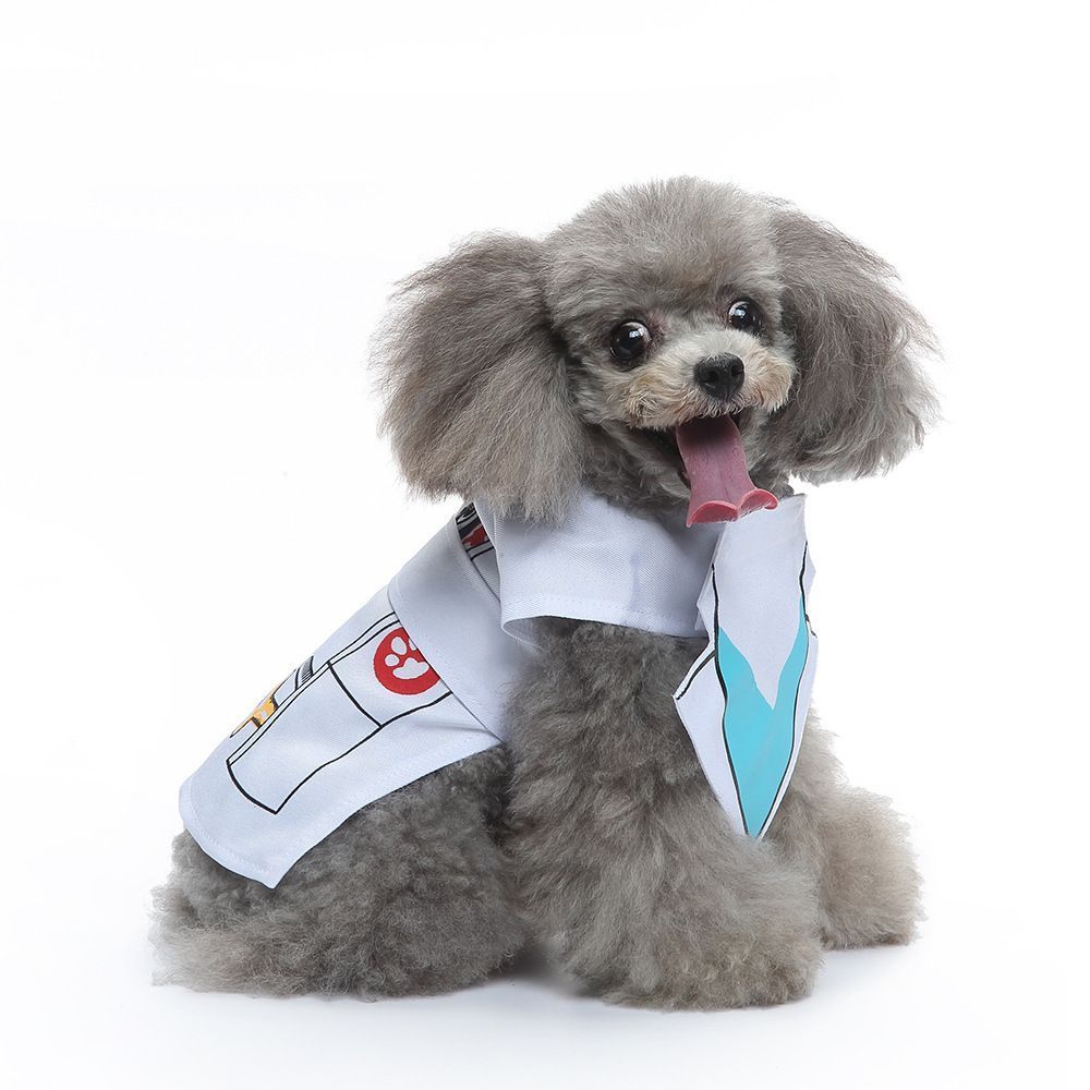 XL Size Pearl Frost Pet Costume, Fancy Dress for Halloween & Christmas, Lightweight for 7-10 kg Dogs and Cats