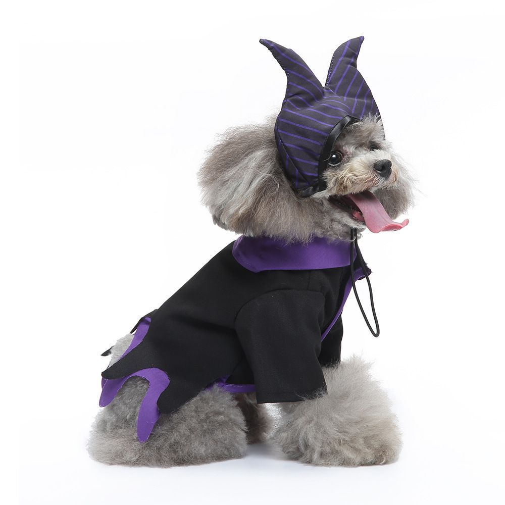 XL Size Quartz Shadow Pet Costume, Fancy Dress for Halloween & Christmas, Lightweight for 7-10 kg Dogs and Cats