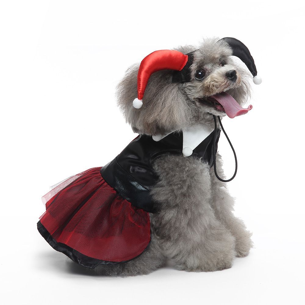 M Size Ruby Spark Pet Costume, Fancy Dress for Halloween & Christmas, Lightweight for 3.5-4.5 kg Dogs and Cats