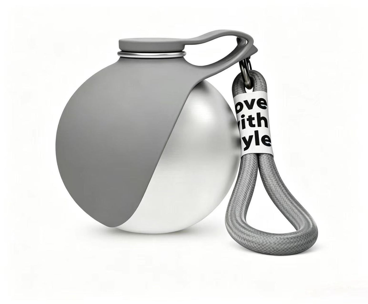 Outdoor 304 Stainless Steel Pet Water Bottle, Meteorite Grey Water Container With Black Lanyard, Collapsible Silicone Dog Bowl, Multi‑Scene Walking Gear, Christmas Halloween Pet Owner Gift
