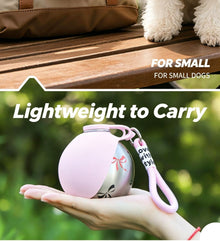 Outdoor 304 Stainless Steel Pet Water Bottle, Meteorite Grey Water Container With Black Lanyard, Collapsible Silicone Dog Bowl, Multi‑Scene Walking Gear, Christmas Halloween Pet Owner Gift