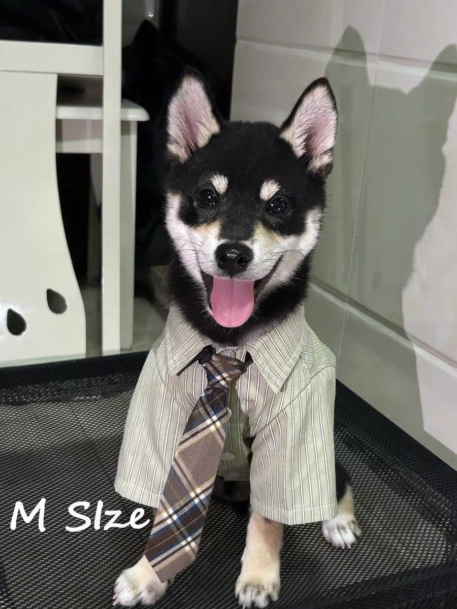 Breathable Thin Pet Shirt for Small Pets, Elegant Collared Clothing Matching Tie, Green, Size M, Back Length 29cm, Ideal for 5‑7kg Pets, Christmas Halloween Pet Holiday Present