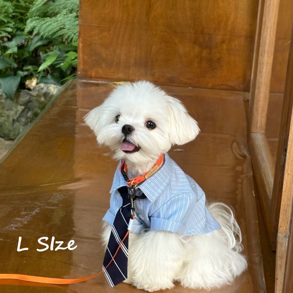 Elegant Lightweight Pet Shirt With Matching Tie, Spring Summer Thin Outfit for Pets, Blue, Size L, Back Length 34cm, Fits 8‑10kg Pets, Christmas Halloween Practical Pet Gift