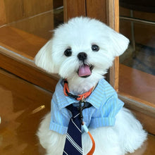Elegant Lightweight Pet Shirt With Matching Tie, Spring Summer Thin Outfit for Pets, Blue, Size L, Back Length 34cm, Fits 8‑10kg Pets, Christmas Halloween Practical Pet Gift