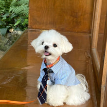 Elegant Lightweight Pet Shirt With Matching Tie, Spring Summer Thin Outfit for Pets, Blue, Size L, Back Length 34cm, Fits 8‑10kg Pets, Christmas Halloween Practical Pet Gift