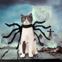 Halloween Adjustable Dog Cat Spider Costume Realistic Plush Spider