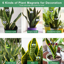 Cute Plant Magnets - Funny Cartoon Eyes, Unique Lover Gifts, Lightweight & Safe Halloween and Christmas Decoration, Indoor Accessories for Office - Give Your Plants Personality