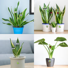 Cute Plant Magnets - Funny Cartoon Eyes, Unique Lover Gifts, Lightweight & Safe Halloween and Christmas Decoration, Indoor Accessories for Office - Give Your Plants Personality