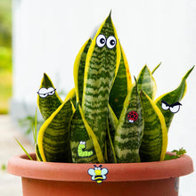 Cute Plant Magnets - Funny Cartoon Eyes, Unique Lover Gifts, Lightweight & Safe Halloween and Christmas Decoration, Indoor Accessories for Office - Give Your Plants Personality