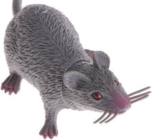 Realistic Fake Mouse Prop, Spooky Rat, Rubber Rat with Long Tail, Halloween and Prank Decoration
