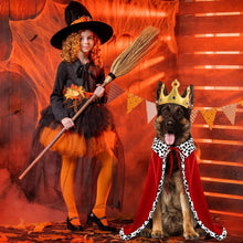 Halloween Dog King Cloak Costume,Cute Funny Halloween Dog King Cape with Crown Adjustable Pet King Cloak for Large Dogs Cats Cosplay Party Supplies Accessories (L)