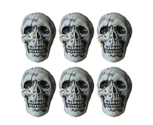 6 Pcs/Set Halloween Skull Ornament Artificial Realistic Increase Atmosphere Durable Clear Texture Skeleton Horror Halloween Skull Statue for Home-White