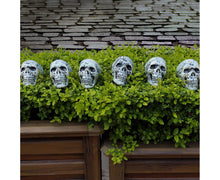 6 Pcs/Set Halloween Skull Ornament Artificial Realistic Increase Atmosphere Durable Clear Texture Skeleton Horror Halloween Skull Statue for Home-White