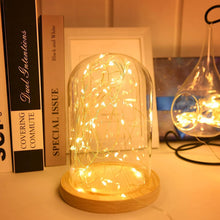 2M 20 LED String Lights, IP65 Waterproof, Halloween & Christmas Decor