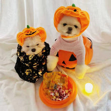 Shine Pumpkin Pet Hat for Dogs Cats Halloween The hat! Orange Pumpkin S small size (for pets within 10.00kg)