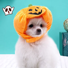 Shine Pumpkin Pet Hat for Dogs Cats Halloween The hat! Orange Pumpkin S small size (for pets within 10.00kg)