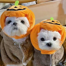 Shine Pumpkin Pet Hat for Dogs Cats Halloween The hat! Orange Pumpkin L large (applicable to pets in 10.00 kg-25.00 kg)