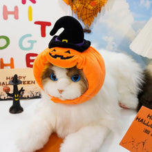 Halloween Dog Cat Pumpkin Hat Costume Black + Orange Pumpkin Hat M (37cm L x 9cm W x 9cm H)
