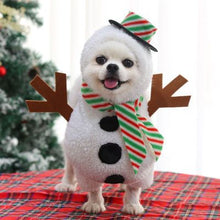 Pet Halloween Costume Small Dog Cat Standing Snowman Transformation Costume XL (Chest 65-78cm)