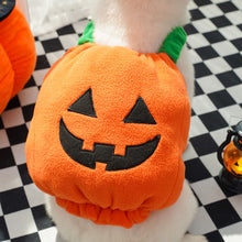 Pet Halloween Costume Small Dog Cat 397 Pumpkin Cotton-filled S (Chest 40-50cm)