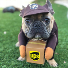 Pet Halloween Costume Shine Small Medium Dog Cat Brown UPS in express packaging S (Chest 40-50cm)