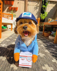 Pet Halloween Costume Shine Small Medium Dog Cat Sky Blue S (Chest 40-50cm)