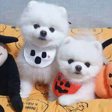 Pet Bandana Dog Cat Halloween Pumpkin Cartoon Orange Pumpkin M (for pets up to 15 lbs)