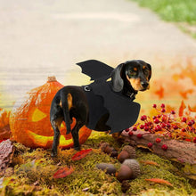 Dog Halloween Costume - Halloween Bat Wings Pet Costumes for Dogs Cats Halloween Party Large