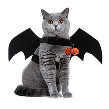 Bat Wing Party Accessory Party Supplies Halloween Costume Themed Birthday - Black - Size 60-30cm