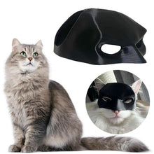 Halloween Bat Mask Cat Mask Pet Costume Accessories for Small Dogs Cats Outfit - XL