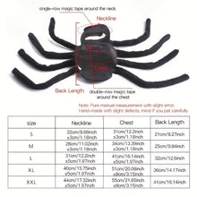 Pet Spooky Big Spider Halloween Costume Dress Up for Dogs Cats and Small Pets - L