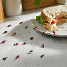 12x MINI FAKE ANTS Trick Halloween Scary Creepy Joke Prank Small Gag Toy Bug