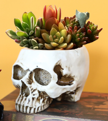 White Halloween Skull Resin Desktop Ornament and Pen Holder - Spooky Decor