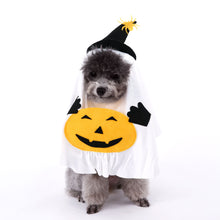 M Size Halloween Pumpkin Ghost Dog Costume - Polyester Pet Fancy Dress with Witch Hat and Spider Detail, Lightweight for Small Dogs and Cats